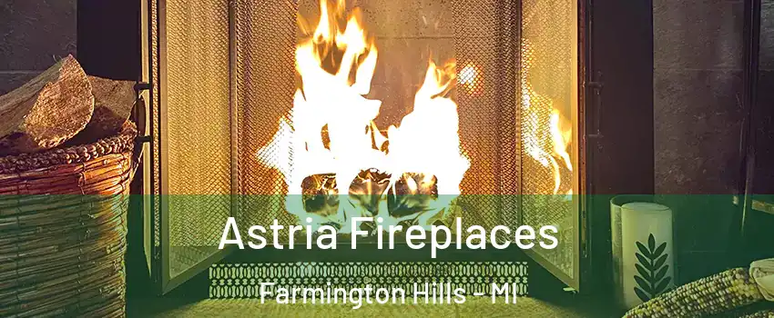  Astria Fireplaces Farmington Hills - MI