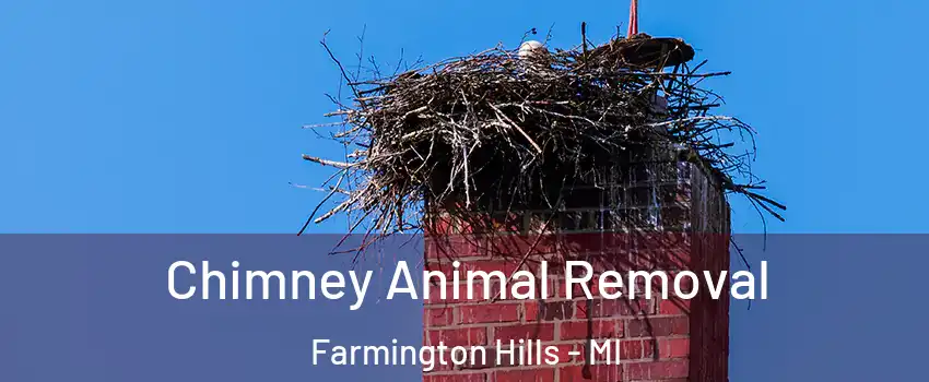  Chimney Animal Removal Farmington Hills - MI