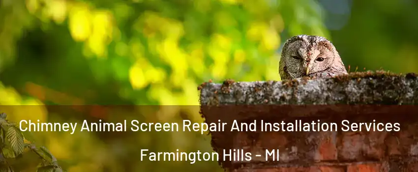  Chimney Animal Screen Repair And Installation Services Farmington Hills - MI