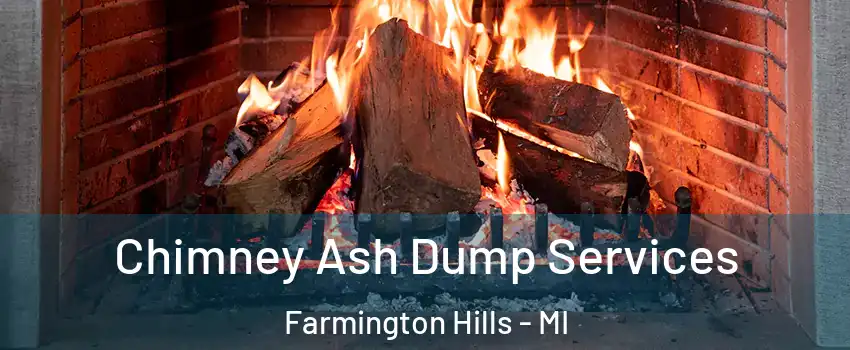  Chimney Ash Dump Services Farmington Hills - MI