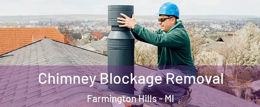  Chimney Blockage Removal Farmington Hills - MI