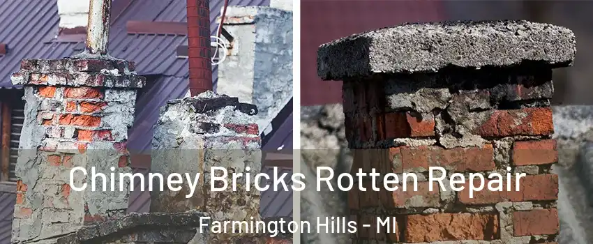  Chimney Bricks Rotten Repair Farmington Hills - MI