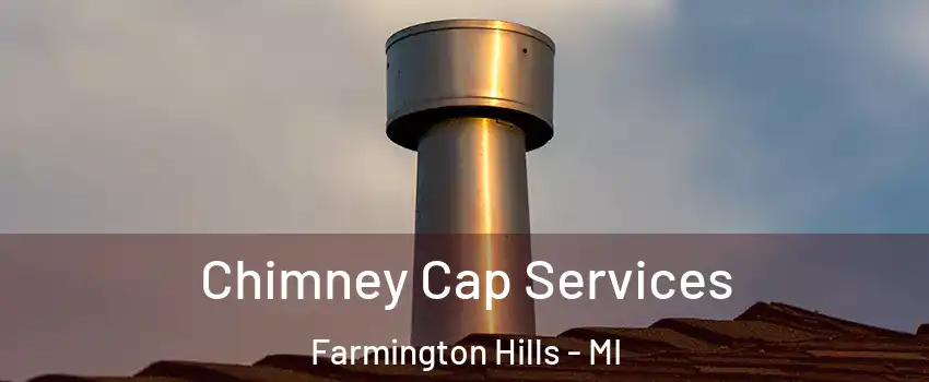  Chimney Cap Services Farmington Hills - MI