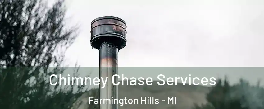  Chimney Chase Services Farmington Hills - MI