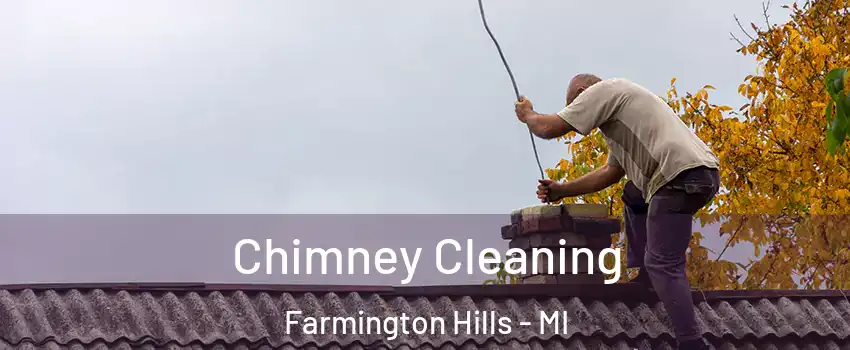  Chimney Cleaning Farmington Hills - MI