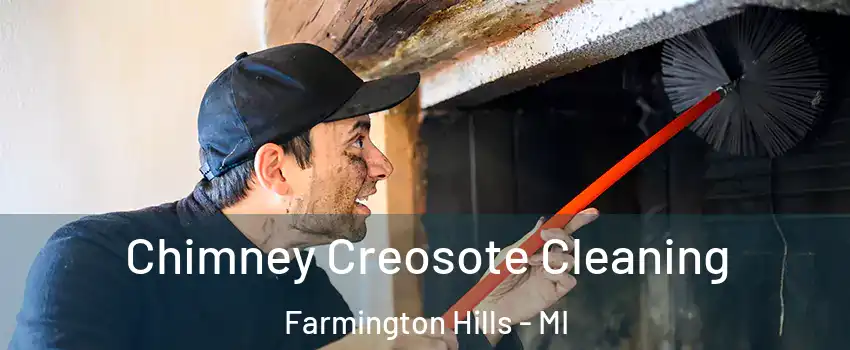  Chimney Creosote Cleaning Farmington Hills - MI