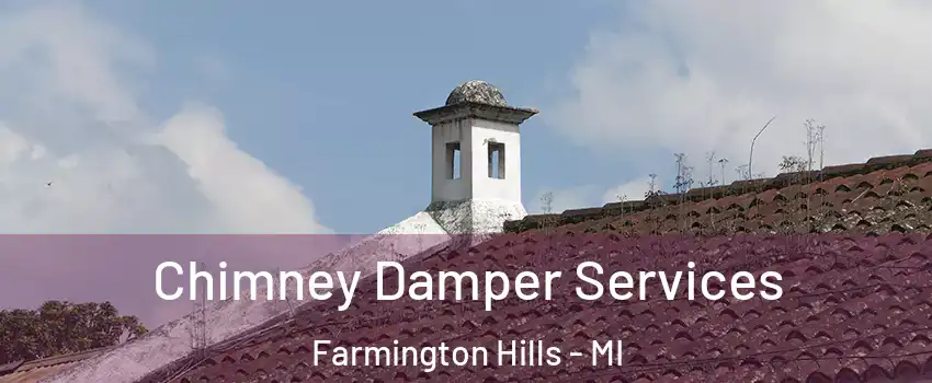  Chimney Damper Services Farmington Hills - MI