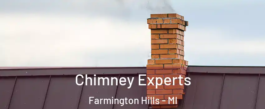  Chimney Experts Farmington Hills - MI