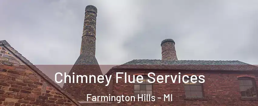  Chimney Flue Services Farmington Hills - MI