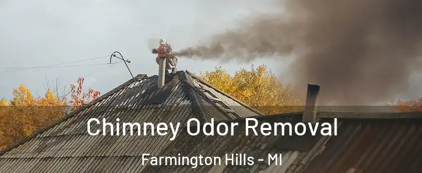  Chimney Odor Removal Farmington Hills - MI