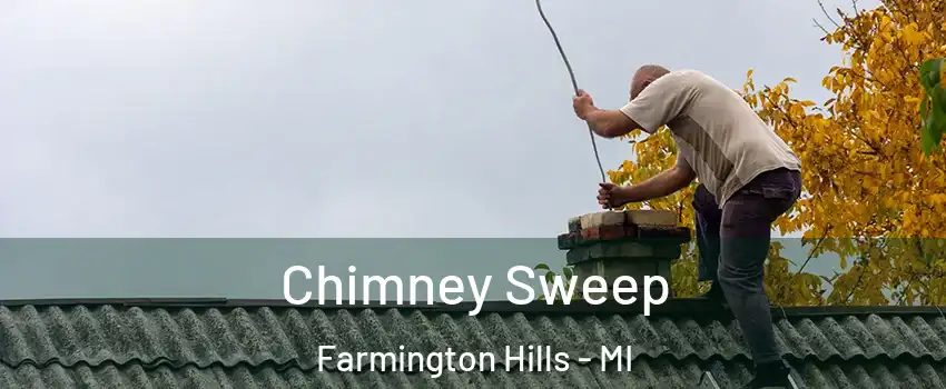 Chimney Sweep Farmington Hills - MI