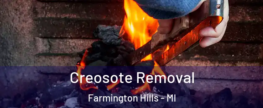  Creosote Removal Farmington Hills - MI