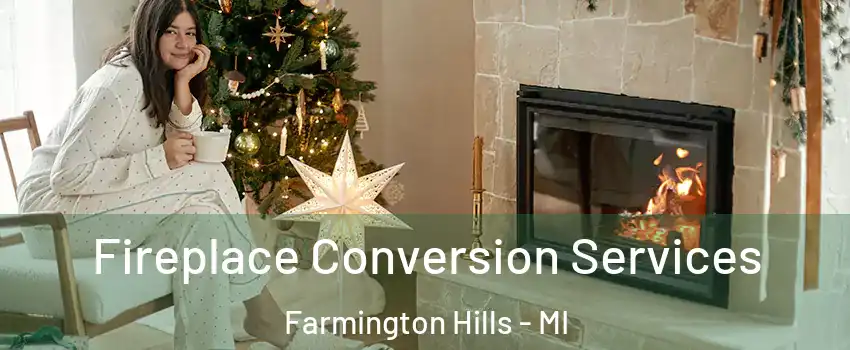  Fireplace Conversion Services Farmington Hills - MI