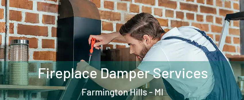  Fireplace Damper Services Farmington Hills - MI