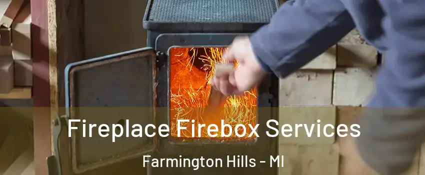  Fireplace Firebox Services Farmington Hills - MI