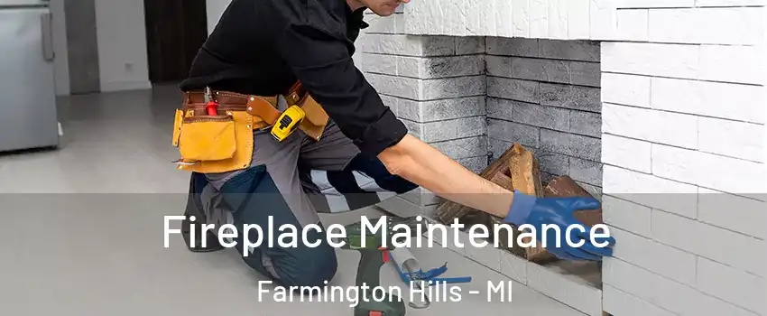  Fireplace Maintenance Farmington Hills - MI