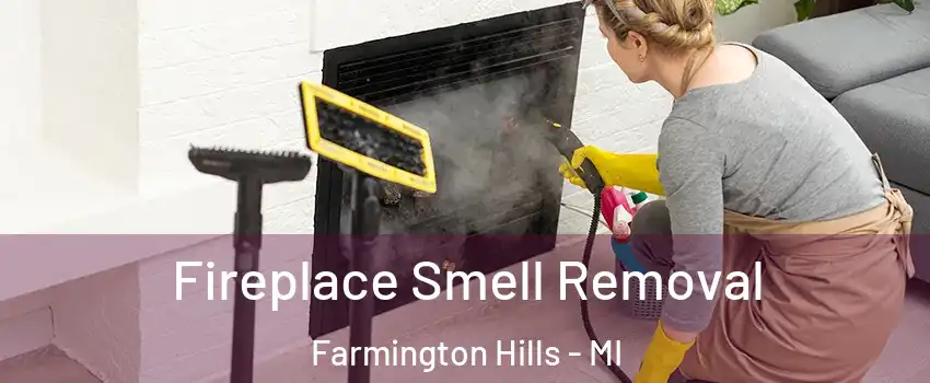  Fireplace Smell Removal Farmington Hills - MI