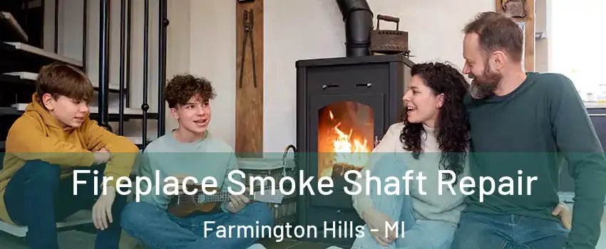  Fireplace Smoke Shaft Repair Farmington Hills - MI