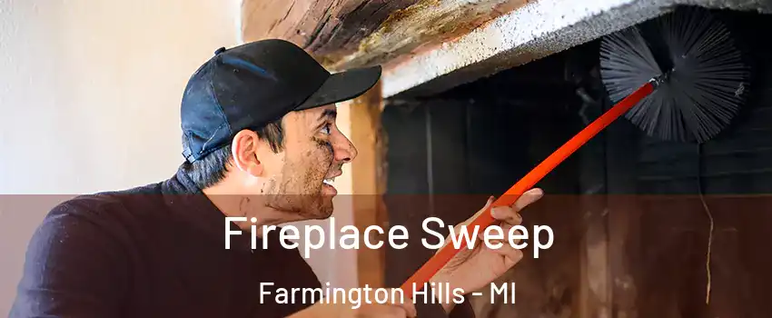  Fireplace Sweep Farmington Hills - MI