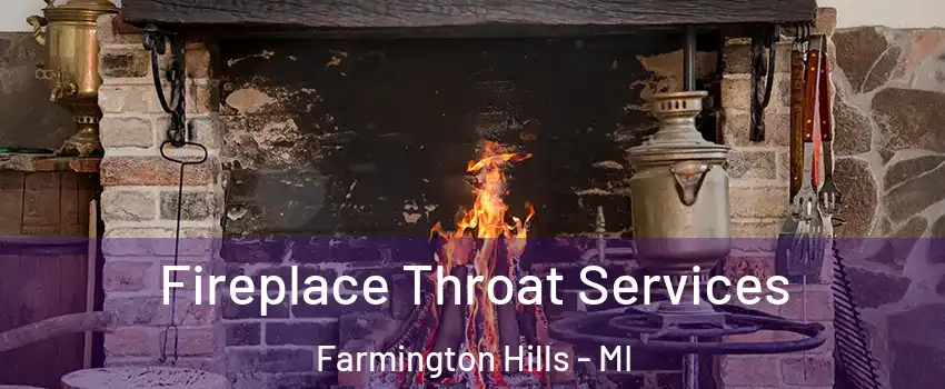  Fireplace Throat Services Farmington Hills - MI