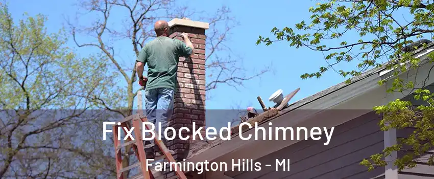  Fix Blocked Chimney Farmington Hills - MI
