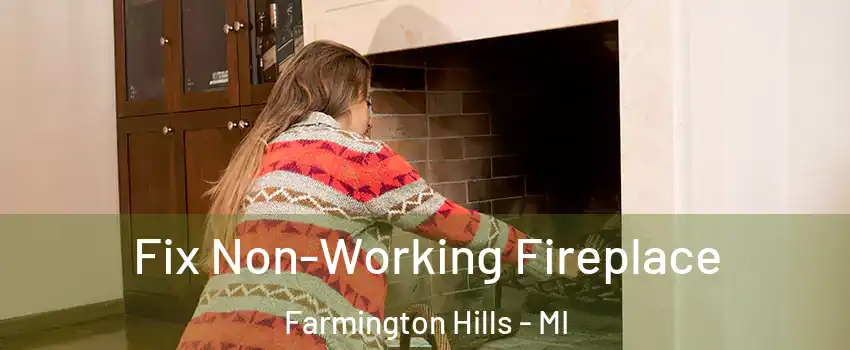  Fix Non-Working Fireplace Farmington Hills - MI