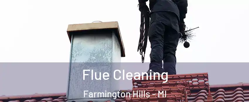  Flue Cleaning Farmington Hills - MI