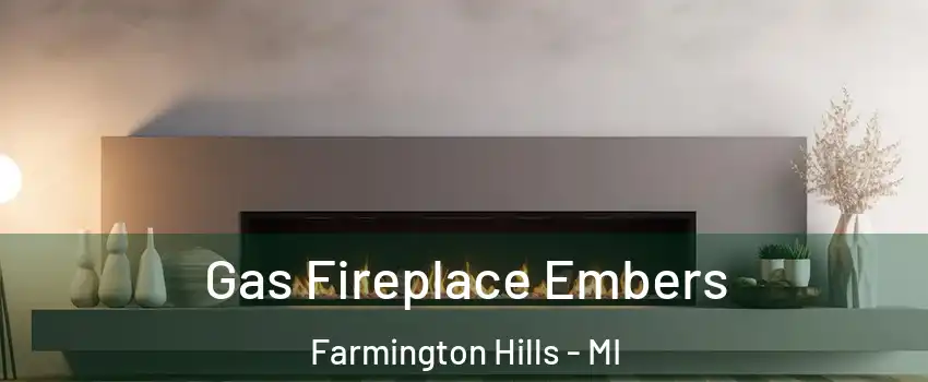  Gas Fireplace Embers Farmington Hills - MI