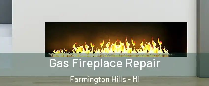  Gas Fireplace Repair Farmington Hills - MI