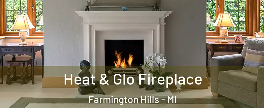  Heat & Glo Fireplace Farmington Hills - MI