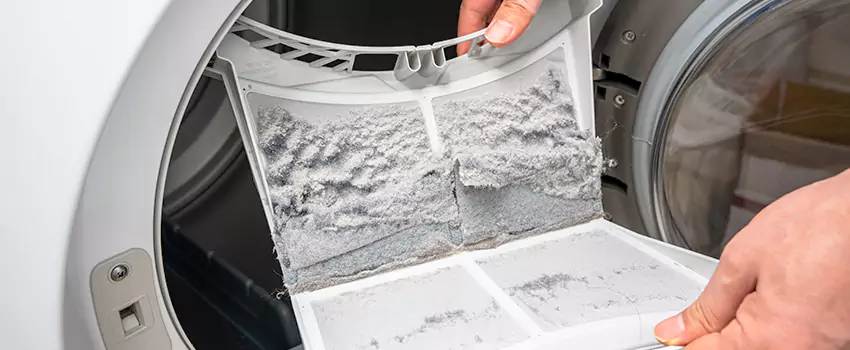 Best Dryer Lint Removal Company in Farmington Hills, Michigan