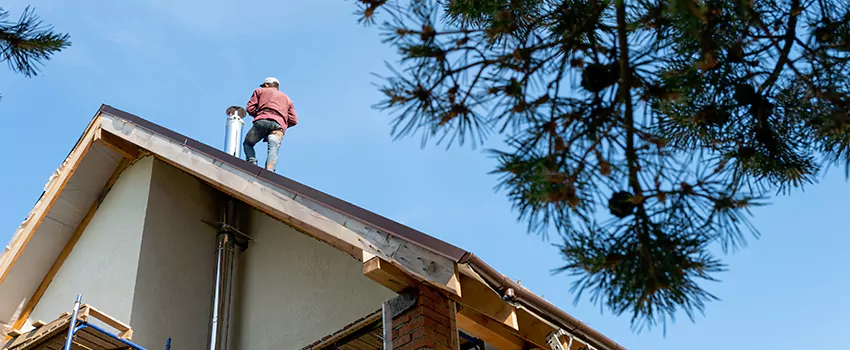 Birds Removal Contractors from Chimney in Farmington Hills, MI