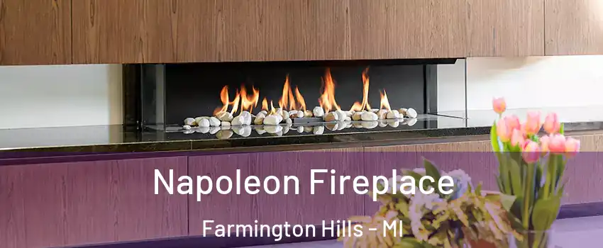  Napoleon Fireplace Farmington Hills - MI