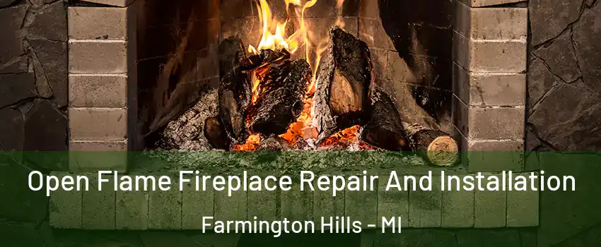  Open Flame Fireplace Repair And Installation Farmington Hills - MI