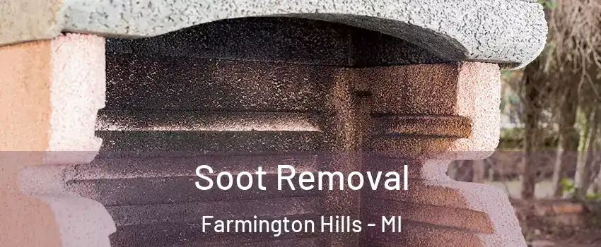  Soot Removal Farmington Hills - MI